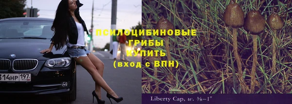 ешки Алексеевка
