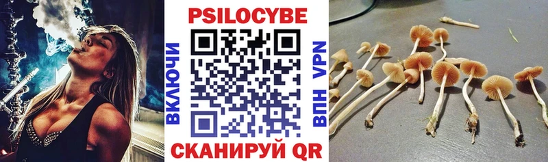 Псилоцибиновые грибы Magic Shrooms  hydra ссылки  Северодвинск 